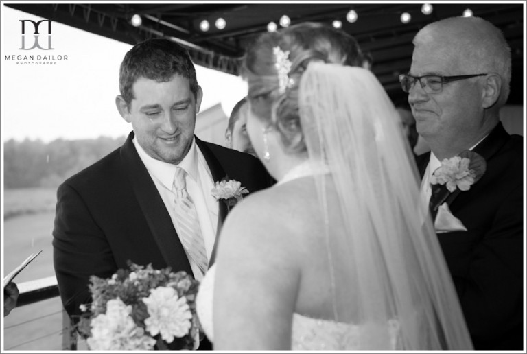Rochester Wedding Photographers 2015 Favorites - Megan Dailor ...